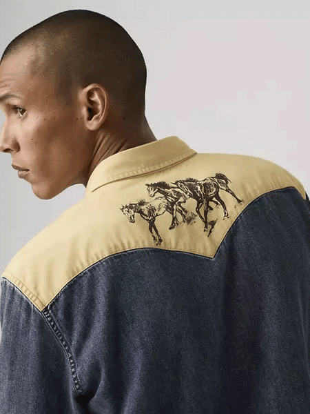 Levis 857450280 Mens Classic Standard Fit Western Shirt Harlem Rodeo Blue back close up view. If you need any assistance with this item or the purchase of this item please call us at five six one seven four eight eight eight zero one Monday through Saturday 10:00a.m EST to 8:00 p.m EST