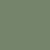Miss Me MT3120T Womens Ribbed Tank With Trim Detail Sage Green