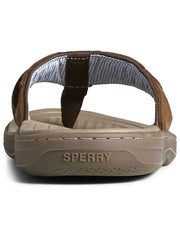 Sperry 1048735 Mens Baitfish Sandals Brown back view. If you need any assistance with this item or the purchase of this item please call us at five six one seven four eight eight eight zero one Monday through Saturday 10:00a.m EST to 8:00 p.m EST