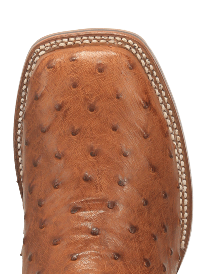 Dan Post DP4874 Mens ALAMOSA Ostrich Leather Square Toe Boot Bay Apache front and side view. If you need any assistance with this item or the purchase of this item please call us at five six one seven four eight eight eight zero one Monday through Saturday 10:00a.m EST to 8:00 p.m EST