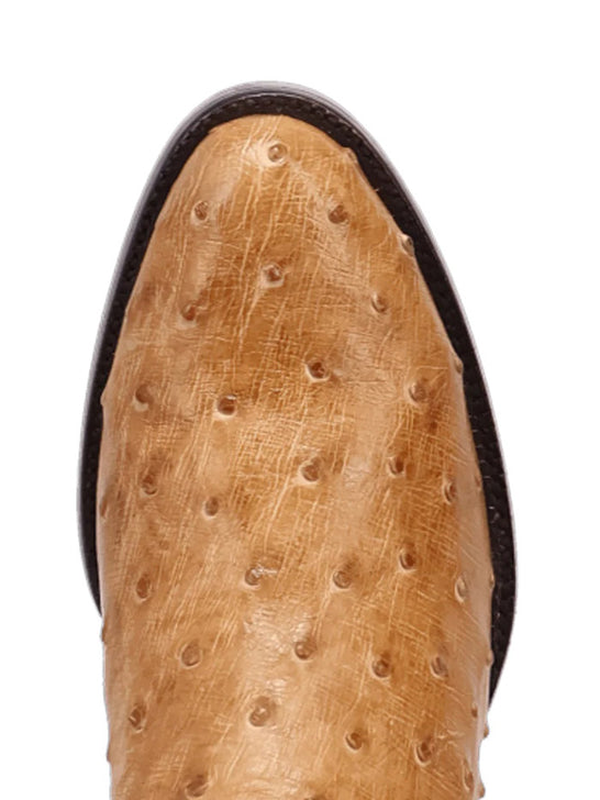 Dan Post GL112 Mens STANFORD Full Quill Ostrich Western Boots Saddle toe view. If you need any assistance with this item or the purchase of this item please call us at five six one seven four eight eight eight zero one Monday through Saturday 10:00a.m EST to 8:00 p.m EST
