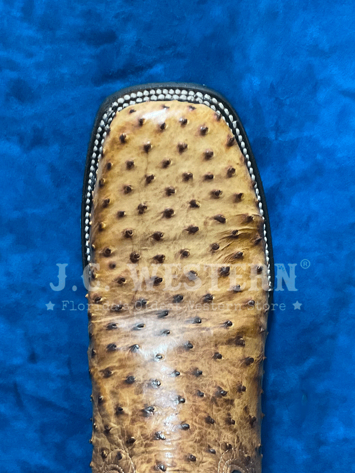 Circle G L6051 Mens Ostrich Embroidery Square Toe Boot Black and Tan front and side view. If you need any assistance with this item or the purchase of this item please call us at five six one seven four eight eight eight zero one Monday through Saturday 10:00a.m EST to 8:00 p.m EST