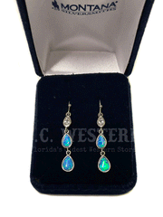 Montana Silversmiths ER3629 Womens River of Lights Falling into Water Earrings Silver front view on display box. If you need any assistance with this item or the purchase of this item please call us at five six one seven four eight eight eight zero one Monday through Saturday 10:00a.m EST to 8:00 p.m EST
