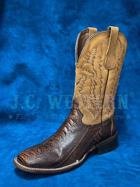 Circle G L6059 Mens Ostrich Leg Embroidery Square Toe Boot Brown front and side view. If you need any assistance with this item or the purchase of this item please call us at five six one seven four eight eight eight zero one Monday through Saturday 10:00a.m EST to 8:00 p.m EST