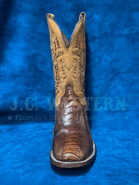 Circle G L6059 Mens Ostrich Leg Embroidery Square Toe Boot Brown full front view. If you need any assistance with this item or the purchase of this item please call us at five six one seven four eight eight eight zero one Monday through Saturday 10:00a.m EST to 8:00 p.m EST