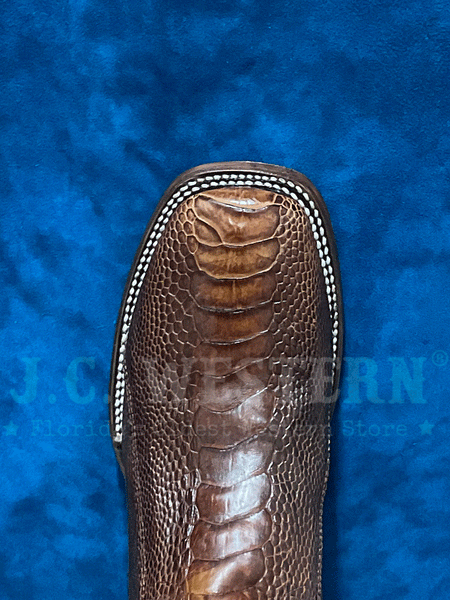 Circle G L6059 Mens Ostrich Leg Embroidery Square Toe Boot Brown toe view from above. If you need any assistance with this item or the purchase of this item please call us at five six one seven four eight eight eight zero one Monday through Saturday 10:00a.m EST to 8:00 p.m EST