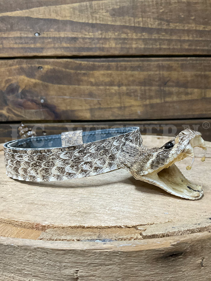 Skin Shop 161Rattle Genuine Rattlesnake Head Hatband Natural side view. If you need any assistance with this item or the purchase of this item please call us at five six one seven four eight eight eight zero one Monday through Saturday 10:00a.m EST to 8:00 p.m EST