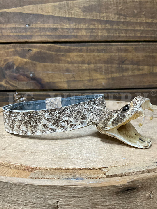 Skin Shop 161Rattle Genuine Rattlesnake Head Hatband Natural side view. If you need any assistance with this item or the purchase of this item please call us at five six one seven four eight eight eight zero one Monday through Saturday 10:00a.m EST to 8:00 p.m EST