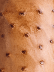 Lucchese N1156.73 Mens LUKE Full Quill Ostrich Western Boots Barnwood Tan leather close up. If you need any assistance with this item or the purchase of this item please call us at five six one seven four eight eight eight zero one Monday through Saturday 10:00a.m EST to 8:00 p.m EST