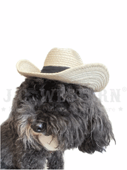 SunBody MINI Cattleman Palm Leaf Cowboy Hat Natural front view. If you need any assistance with this item or the purchase of this item please call us at five six one seven four eight eight eight zero one Monday through Saturday 10:00a.m EST to 8:00 p.m EST