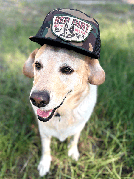 Red Dirt RDHC-489 FLY SOUTH Trucker Cap Black Camo on dog model. If you need any assistance with this item or the purchase of this item please call us at five six one seven four eight eight eight zero one Monday through Saturday 10:00a.m EST to 8:00 p.m EST