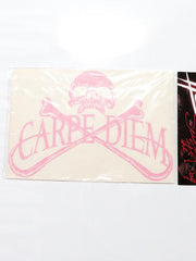 Carpe Diem Pirate Skull Bumper Decal Sticker 10x7 Pink