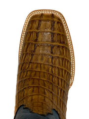 Black Jack PUCG7148 Mens Caiman Crocodile Tail Boots Pull Up Cognac view from above. If you need any assistance with this item or the purchase of this item please call us at five six one seven four eight eight eight zero one Monday through Saturday 10:00a.m EST to 8:00 p.m EST