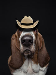 SunBody MINI Cattleman Palm Leaf Cowboy Hat Natural front view. If you need any assistance with this item or the purchase of this item please call us at five six one seven four eight eight eight zero one Monday through Saturday 10:00a.m EST to 8:00 p.m EST