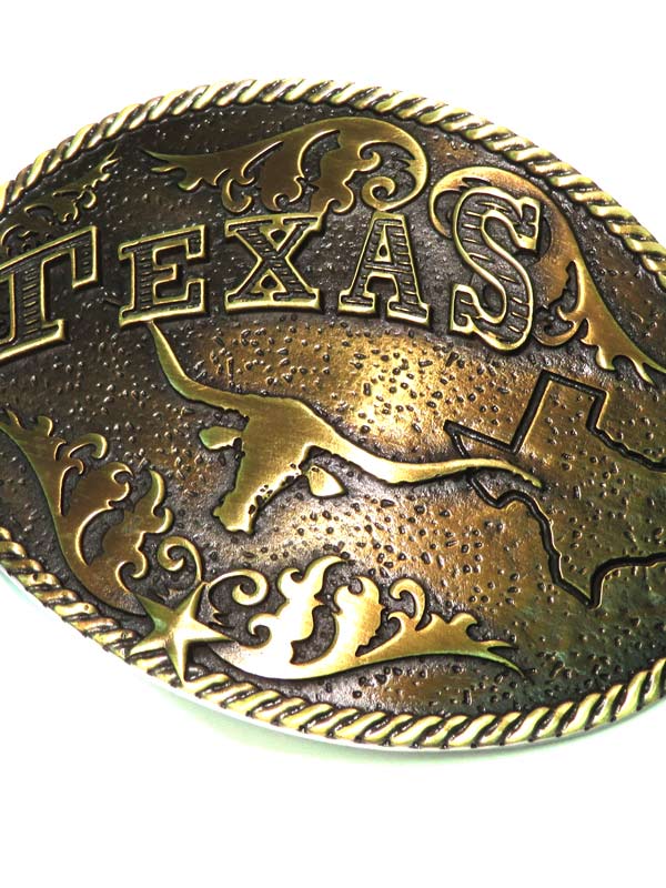 Western Edge TBB4622 Texas Longhorn Belt Buckle Solid Brass front view. If you need any assistance with this item or the purchase of this item please call us at five six one seven four eight eight eight zero one Monday through Saturday 10:00a.m EST to 8:00 p.m EST
